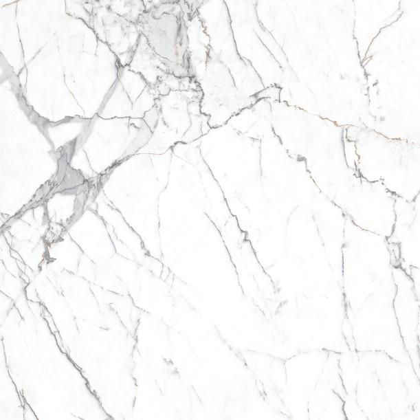 A white marble surface featuring an intricate black and white pattern, showcasing elegant design and texture