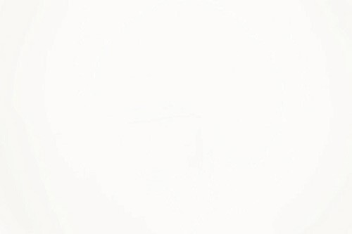 A white plate featuring an intricate black and white pattern, elegantly displayed against a neutral background